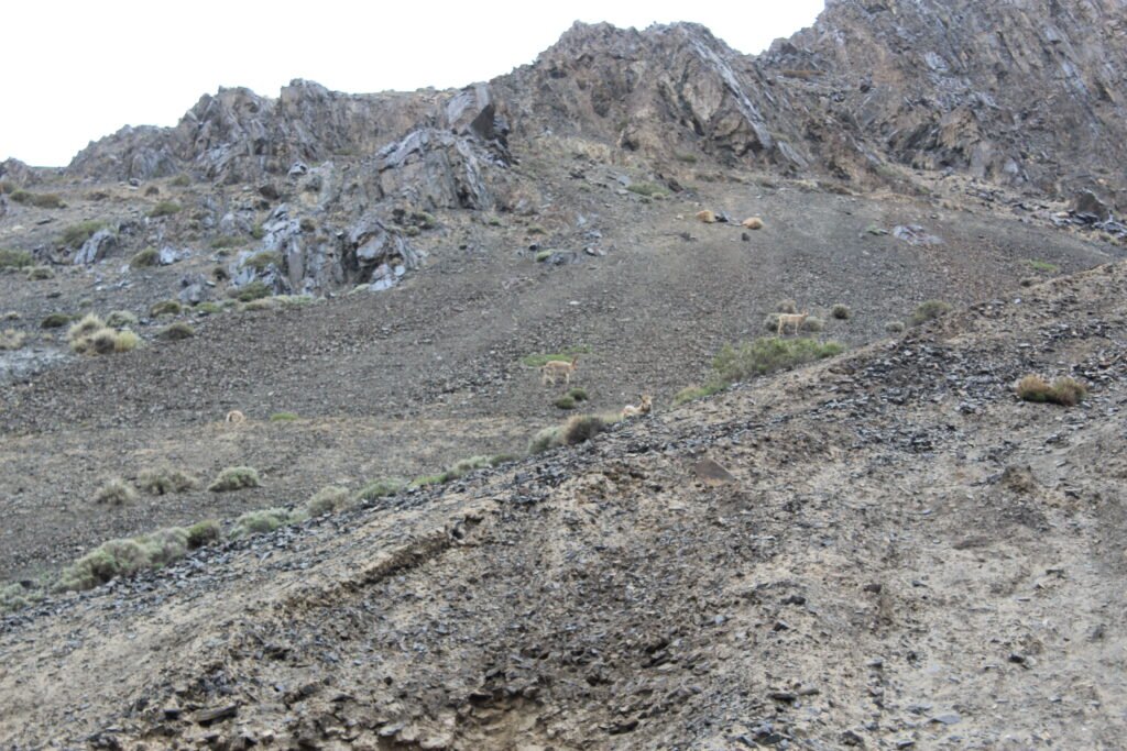 Gilgit baltistan travel guide